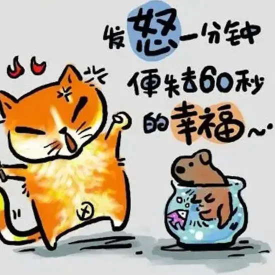 高清画质